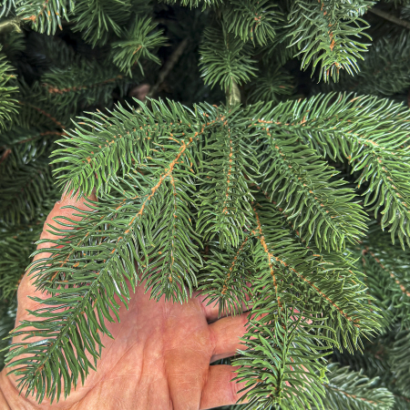 Brad artificial Christmas Deluxe, Kovalivka Select, integral 3D, 230cm [5]