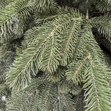 Brad artificial Christmas Deluxe, Kovalivka Select, integral 3D, 230cm [3]