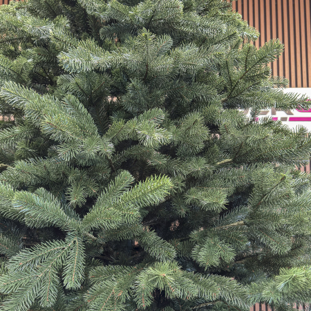 Brad artificial Christmas Deluxe by Sersimo, Kovalivka Select, integral 3D, 250 cm [2]