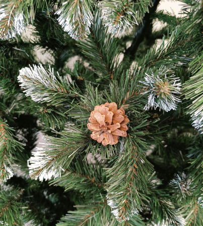 Brad artificial Christmas Deluxe, Lidia Nins cu conuri, 2D, 200cm [3]