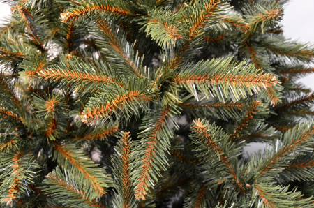 Brad artificial Christmas Deluxe, Royal, 150cm [2]