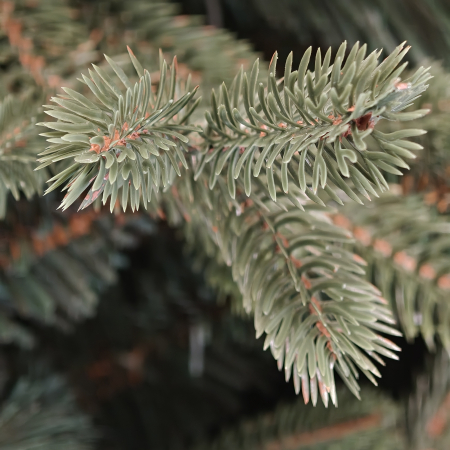 Brad artificial Christmas Deluxe, Royal Felara, 2D+3D, 150cm [12]