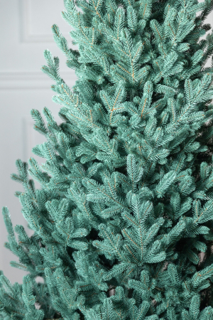 Brad artificial Christmas Deluxe, Viena Select argintiu, integral 3D, 210cm [5]