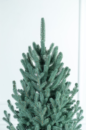 Brad artificial Christmas Deluxe, Viena Select argintiu, integral 3D, 210cm [6]