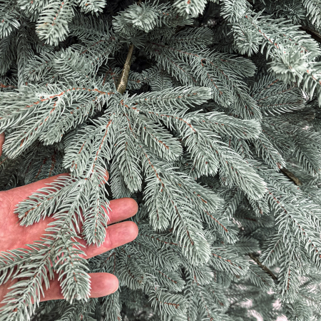Brad artificial Christmas Deluxe, Viena Select argintiu, integral 3D, 230cm [7]