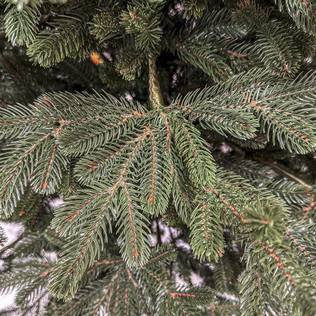Brad artificial Christmas Deluxe, Viena Select, integral 3D, 180cm [4]