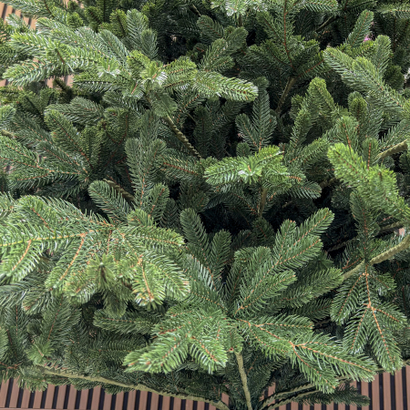 Brad artificial Christmas Deluxe, Viena Select, integral 3D, 250 cm [2]