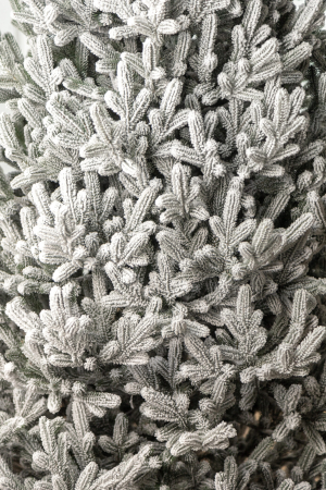 Brad artificial Christmas Deluxe, Viena Select nins, integral 3D, 210cm [8]
