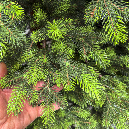 Brad artificial, Hollandia, verde cu varfuri verzi, integral 3D, 230 cm [8]