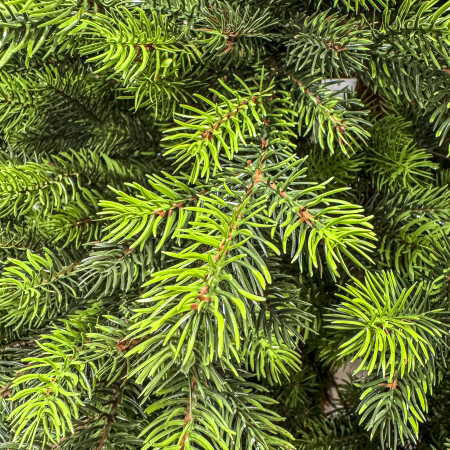 Brad artificial, Hollandia, verde cu varfuri verzi, integral 3D, 230 cm [9]
