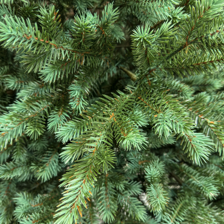 Brad artificial, Scandinavia, verde cu varfuri argintii, integral 3D, 210 cm [4]