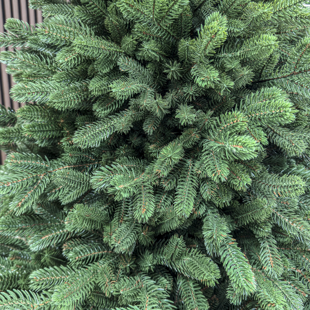 Brad artificial, Sionne Elite, verde, integral 3D, 200 cm [5]