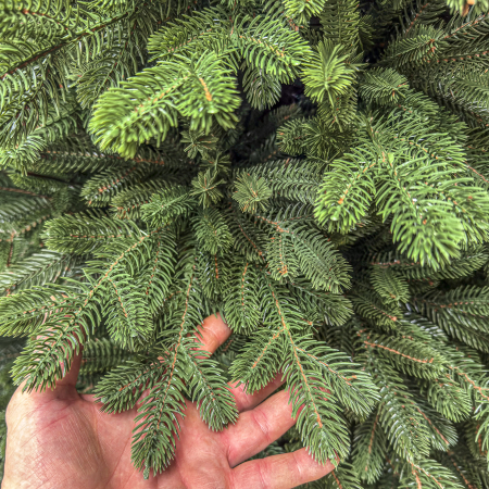 Brad artificial, Sionne Elite, verde, integral 3D, 200 cm [6]