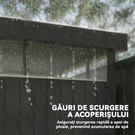  Casuta de Gradina cu Luminator Superior din Acril si Orificii de Drenaj, 200x258x201 cm, Gri inchis [5]