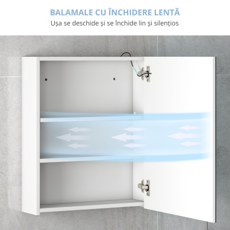  Dulapior de Baie cu 1 Usa, Oglinda si Lumini LED cu Touch si Reglare Intensitate 60 x 50 x15cm [6]