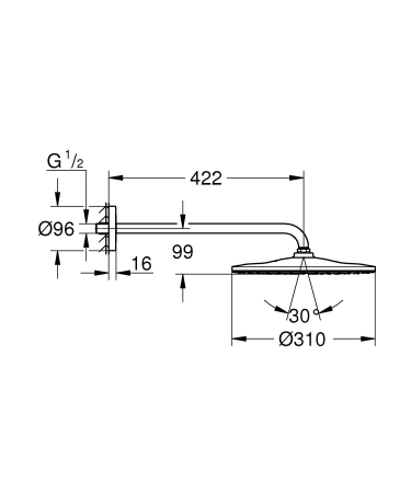 Dus fix Grohe 26558AL0, Rainshower 310, pe perete, 310 mm, 1 functie, mat, grafit [4]