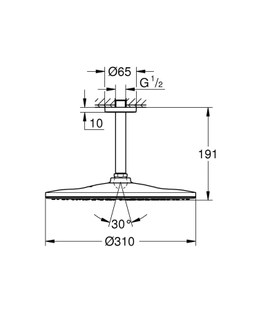Dus fix Grohe 26560A00, Rainshower 310, pe tavan, 310 mm, 1 functie, lucios, grafit [4]