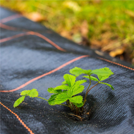 Agrotextil antiburuieni polipropilena 90g/m2 cu protectie UV, mentine umiditatea solului, 50x1.1 m, negru [12]