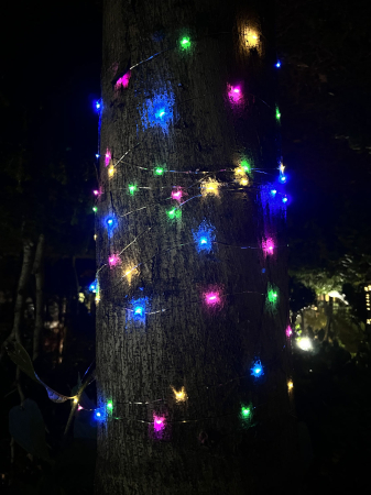 Ghirlanda luminoasa liniara, 100 LED-uri, 990cm, incarcare solara, multicolor [1]