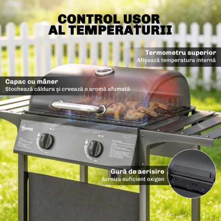  Gratar cu plita din fonta [5]