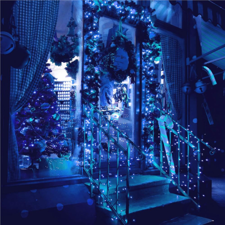 Instalatie lumini pentru bradul de Craciun, 31,5 metri, 500 LED-uri, albastru [14]