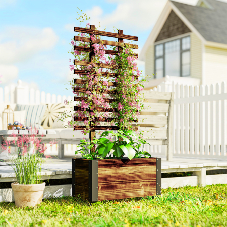  Jardiniera cu Spalier pentru Plante Agatatoare si Roti [1]