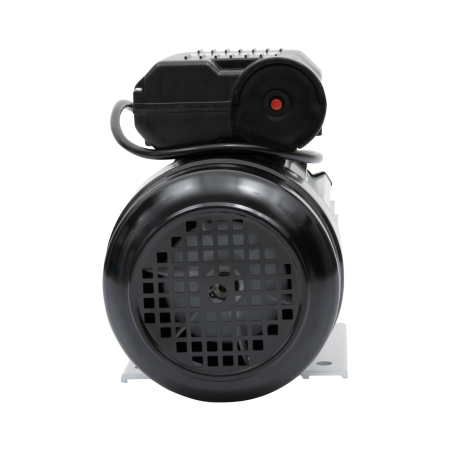 Motor electric Micul Fermier 0.75KW, 2800 rpm, carcasa aluminiu [2]