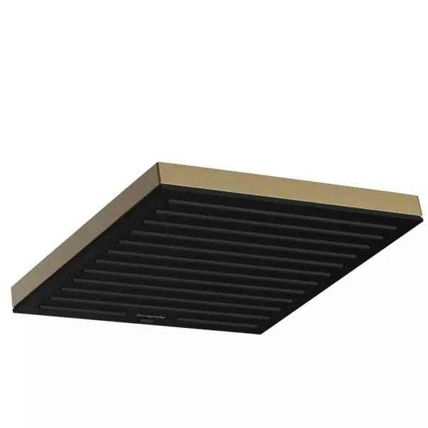 Brate si palarii dus - Palarie de dus bronz periat Hansgrohe Pulsify E 260 cu 1 jet