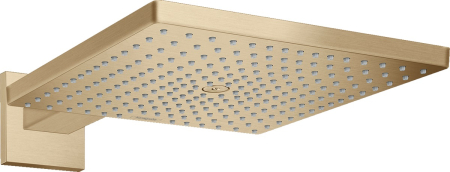 Baie - Palarie si brat de dus Hansgrohe Raindance Select E 300 bronz periat