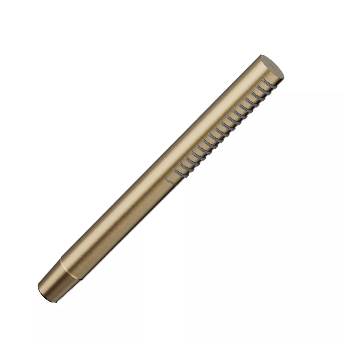 Pare, furtunuri si accesorii - Para de dus Hansgrohe Pulsify S, 25 mm, 1 functie, mat, bronz, 24126140