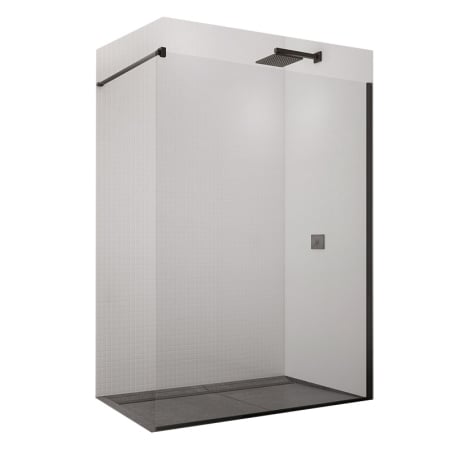 Baie - Paravan de dus SanSwiss Easy, 120x200 cm, sticla securizata 8 mm, tratament Aquaperle, negru mat