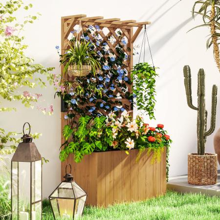  Pat de Gradina Ridicat din Lemn cu Spalier si Pergola 64x33x122 cm [1]