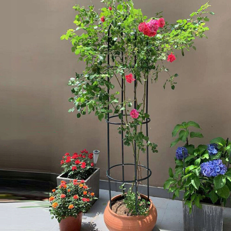 Pergola coloana pentru trandafiri si plante cataratoare, structura otel, 190x40 cm, negru [10]