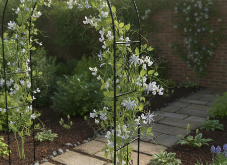 Pergola gradina metalica cu ancore fixare sol, otel vopsit electrostatic, suport plante cataratoare, 114x37x230 cm, verde inchis [4]