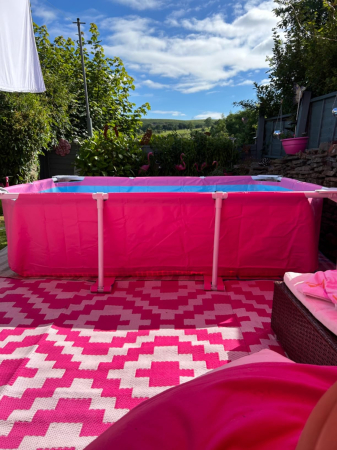 Piscina rectangulara cu cadru metalic Pink Metal Frame Intex 28266NP, 220x150x60 cm [1]