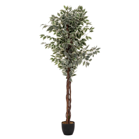 Plante artificiale - Planta artificiala ficus cu ghiveci, frunzis bogat in doua nuante de verde, poliester, fara intretinere, 97x86x185 cm