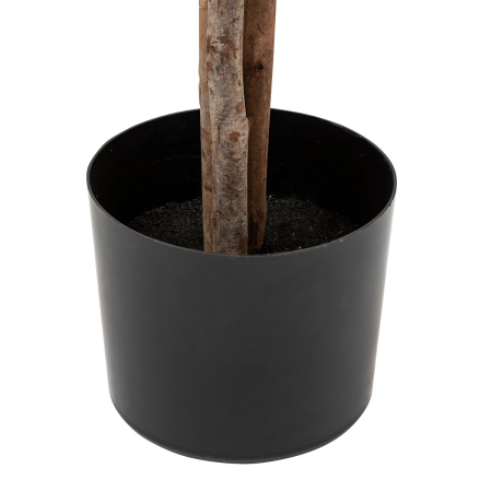 Planta artificiala maslin decorativ cu ghiveci, frunzis fin si ramuri bogate, fara intretinere, 80x80x210 cm, verde [6]