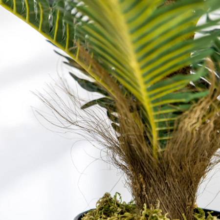  Planta Artificiala de Palma cu 18 Frunze si Vas Inclus pentru Interior, inaltime 85 cm, Verde [8]