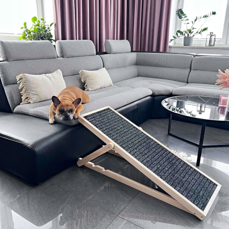 Rampa pentru caini si pisci cu 3 nivele de reglare 42-59cm, antiderapanta, lungime 103cm [10]