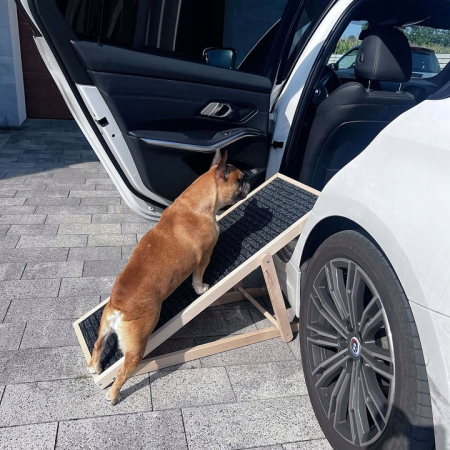 Rampa pentru caini si pisci cu 3 nivele de reglare 42-59cm, antiderapanta, lungime 103cm [2]