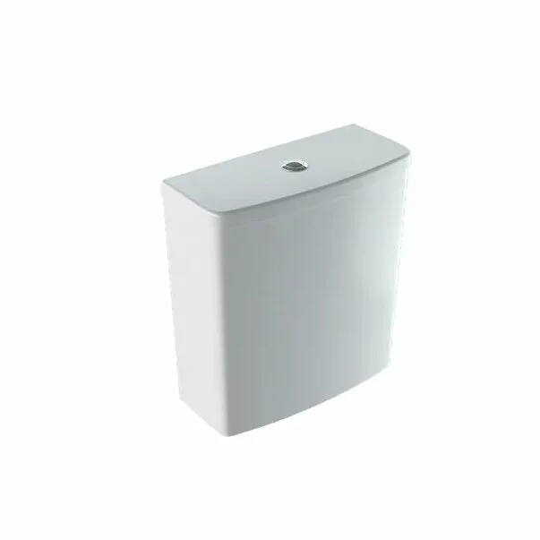 Rezervoare aparente - Rezervor pe vas wc Geberit Selnova Square cu alimentare laterala pentru Rimfree