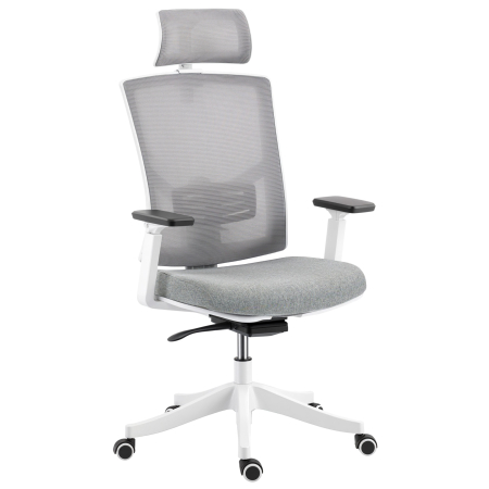 Dormitor & birou -  Scaun de Birou Ergonomic si Respirabil cu Suport Lombar Dinamic 4D, 64.5x62.5x112-122 cm, Multicolor