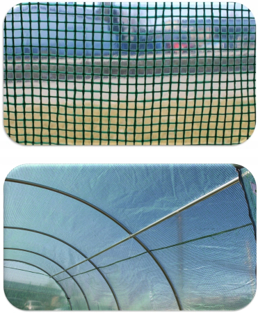 Sera gradina tip tunel 250x400x200 cm, folie PE 140g/m2 UV4, 4 segmente, 8 ferestre rulante, usa blocabila, 10 mp, verde [4]