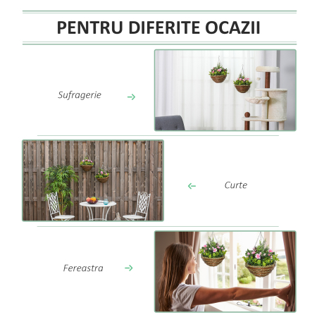  Set 2 Plante Lisianthus - Ghiveci Rachita, Decorative pentru Agatat [4]