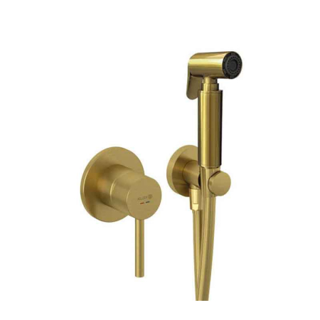 Coloane de dus - Set de duș igienic Kludi Bozz, montaj încastrat, auriu periat