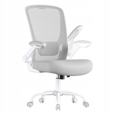 Dormitor & birou - Scaun de birou ergonomic reglabil cu spatar mesh si suport lombar, maxim 120 kg, 64x64x107 cm, gri deschis