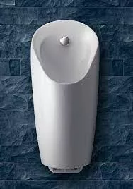 Urinal Geberit Preda, pe podea, fara apa, alb, 116.071.00.1 [1]