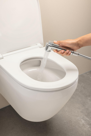Vas WC Grohe 102510SH00, New Euro Ceramic, suspendat, rimless, capac SoftClose, alb [15]