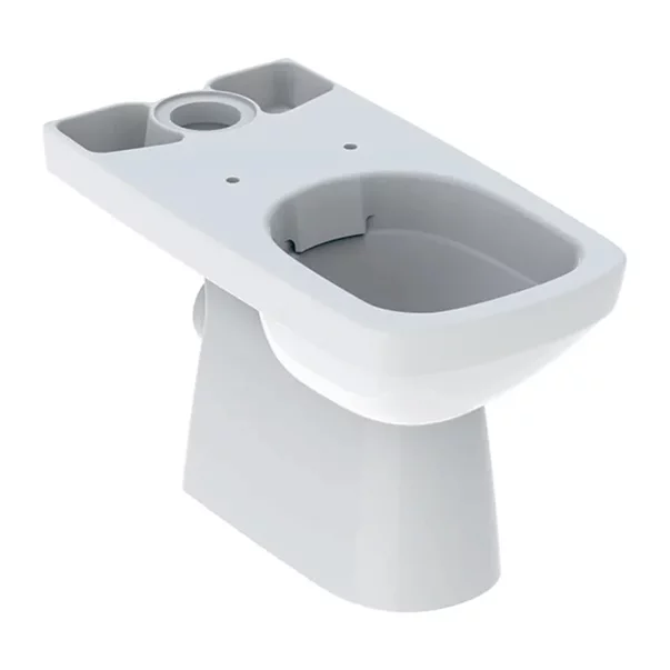 Vase WC - Vas WC pe pardoseala Geberit Selnova Square Rimfree alb lucios