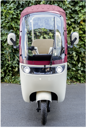 Triciclu Electric Persoane Cabina Deschisa Dotos TRP1000CD EvoTools / C: Alb/Multicolor [2]